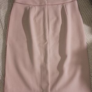 Ann Taylor Pink Pencil Skirt Size 10